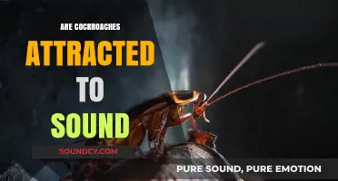 Do Cockroaches Respond to Noise? Exploring Sound Attraction in Roaches