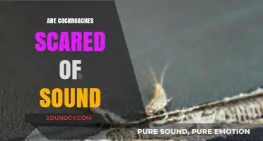 Do Loud Noises Frighten Cockroaches? Uncovering the Truth About Sound Sensitivity