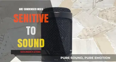 Condenser Mics: Capturing Every Whisper and Murmur