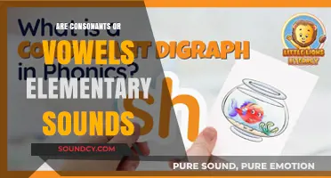 Consonants vs Vowels: What Are Elementary Sounds?