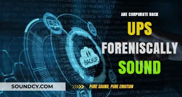 Corporate Backups: Forensically Sound or Not?