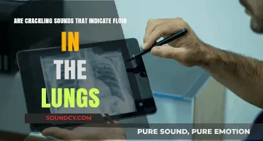 Crackling Lung Sounds: Uncovering the Link to Fluid Buildup