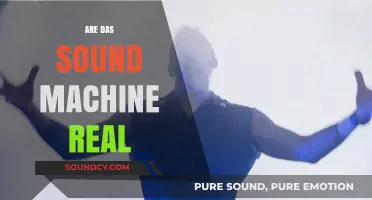 Are Das Sound Machine Real? Unveiling the Truth Behind the Band
