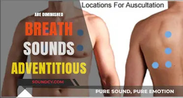Are Diminished Breath Sounds Adventitious? Understanding Respiratory Abnormalities