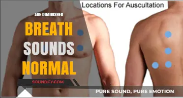 Are Diminished Breath Sounds Normal? Understanding Causes and Concerns