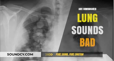 Are Diminished Lung Sounds a Cause for Concern?