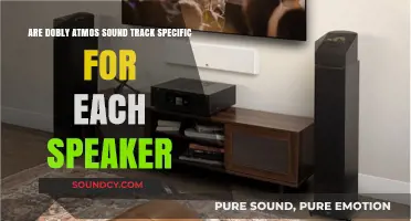 Dolby Atmos Sound Tracks: Are They Speaker-Specific or Universal?