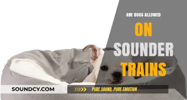 Exploring Sounder Trains: Can You Bring Your Dog?