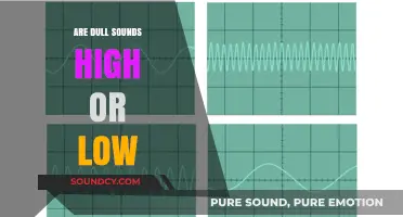 The Science of Sound: High or Low?