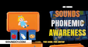 Mastering Phonemic Awareness: The Role of Ending Sounds in Early Literacy