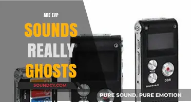 EVP Sounds: Ghostly Voices or Just Random Noise?
