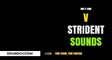 Strident Sounds: F and V's Impact