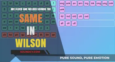 Glued vs. Welded: Unraveling the Sonic Mystery in Wilson's World