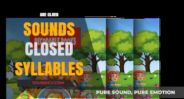 Exploring Glued Sounds: Are Closed Syllables the Secret to Pronunciation?