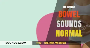 Are Gurgling Bowel Sounds Normal? Understanding Your Digestive Noises