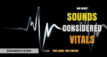 Heart Sounds as Vitals: Essential or Optional in Patient Monitoring?