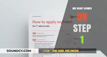 Heart Sounds: Step 1 Exam Essential