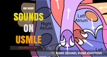 Mastering Heart Sounds for USMLE: Essential Tips and Techniques