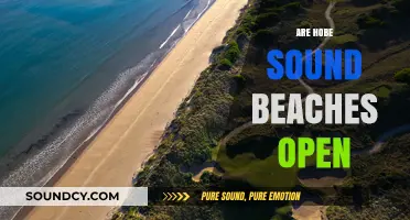 Are Hobe Sound Beaches Open? Current Status and Updates
