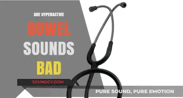 Hyperactive Bowel Sounds: Causes, Concerns, and When to Seek Help