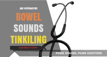 Hyperactive Bowel Sounds: Understanding the Tinkling Noise and Its Meaning