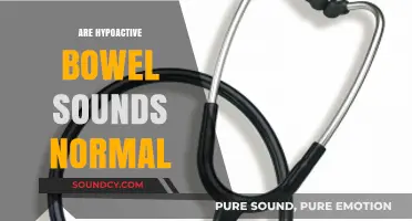 Are Hypoactive Bowel Sounds Normal? Understanding Digestive Health Indicators