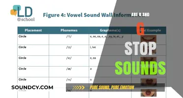 How to Pronounce K and G: Stop Sounds Explained