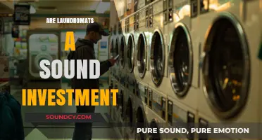 Laundromats: A Profitable Venture or Risky Investment Opportunity?