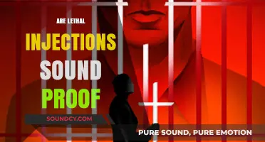 Are Lethal Injections Soundproof? Examining the Silence of Capital Punishment