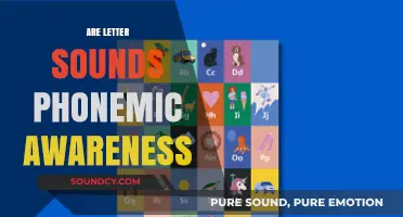 Understanding Letter Sounds: Unlocking Phonemic Awareness in Early Literacy