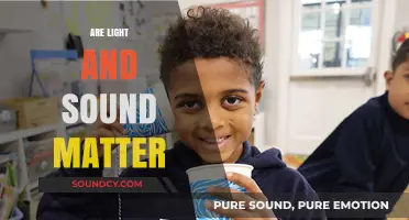 Exploring the Nature: Are Light and Sound Forms of Matter?