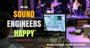 Are Live Sound Engineers Happy? Exploring the Joys and Challenges
