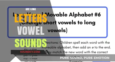 Exploring Long Letters: Are They Truly Extended Vowel Sounds?