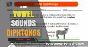Are Long Vowel Sounds Diphthongs? Unraveling the Phonetic Mystery