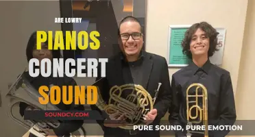 Lowry Pianos: Do They Deliver Concert-Quality Sound for Musicians?