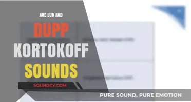 Lub and Dupp: The Korotkoff Sounds