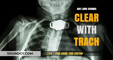 Trach Patients: Clear Lung Sounds?