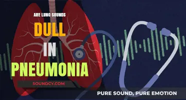 Lung Sounds: Dullness and Pneumonia