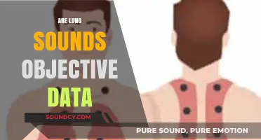 Are Lung Sounds Objective Data? Exploring Clinical Reliability and Interpretation