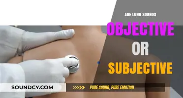 Lung Sounds: Objective or Subjective?