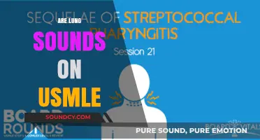 Mastering Lung Sounds for USMLE: Essential Tips and Techniques