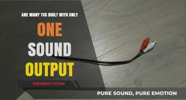 Are Many TVs Built with Only One Sound Output?