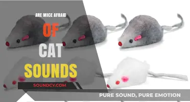 Cat Sounds: Do Mice Fear Them?