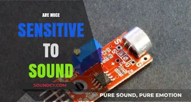 Do Mice Hear Differently? Exploring Their Sensitivity to Sound Frequencies