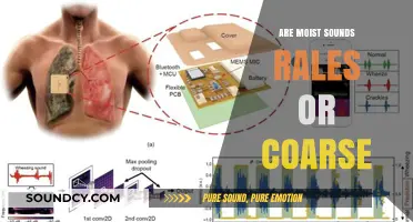 Moist Sounds: Rales or Coarse?