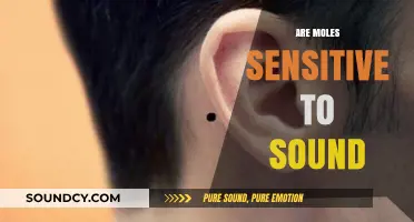 Do Moles Hear Sounds? Exploring Their Sensitivity to Auditory Stimuli