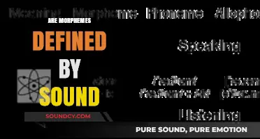 Exploring Morphemes: Are They Defined by Sound or Meaning?