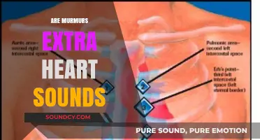 Understanding Murmurs: Are They Extra Heart Sounds or Something Else?