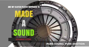 Clutch Plates Noise: Normal Operation or Cause for Concern?