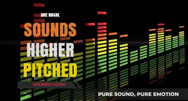 Nasal Sounds and Pitch: Unraveling the Higher Frequency Myth